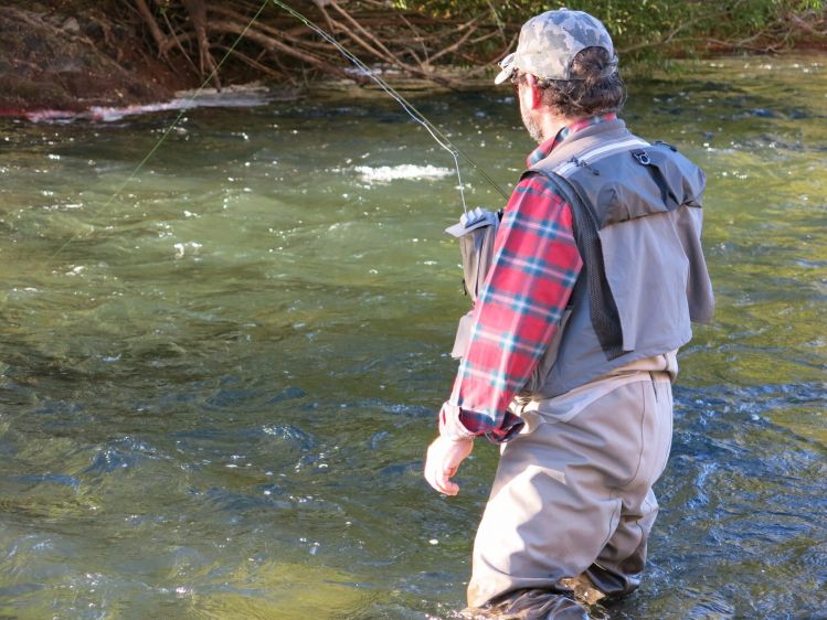 Cómo pescar con mosca en Arkansas: El lugar adecuado para probarlo